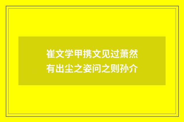 崔文学甲携文见过萧然有出尘之姿问之则孙介