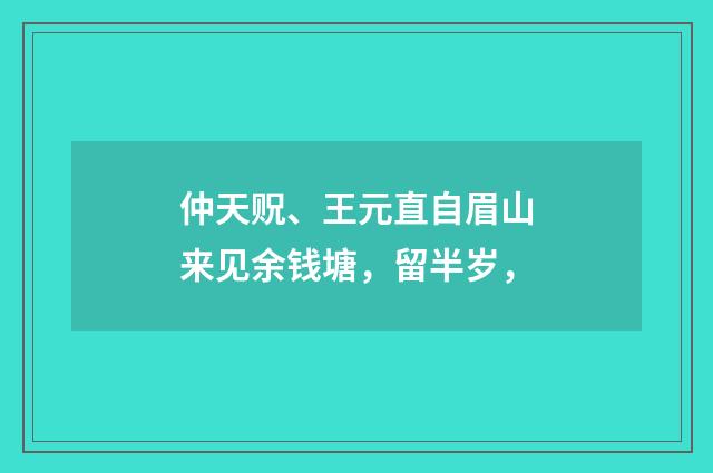 仲天贶、王元直自眉山来见余钱塘，留半岁，
