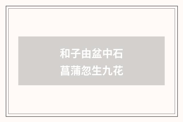 和子由盆中石菖蒲忽生九花