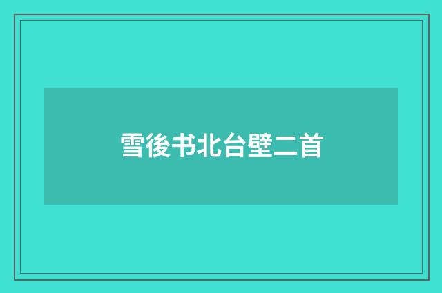 雪後书北台壁二首