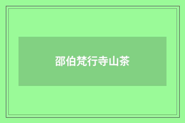 邵伯梵行寺山茶