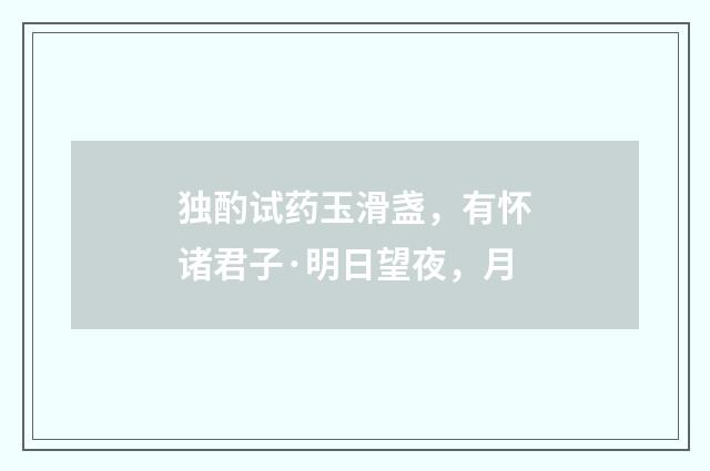 独酌试药玉滑盏，有怀诸君子·明日望夜，月