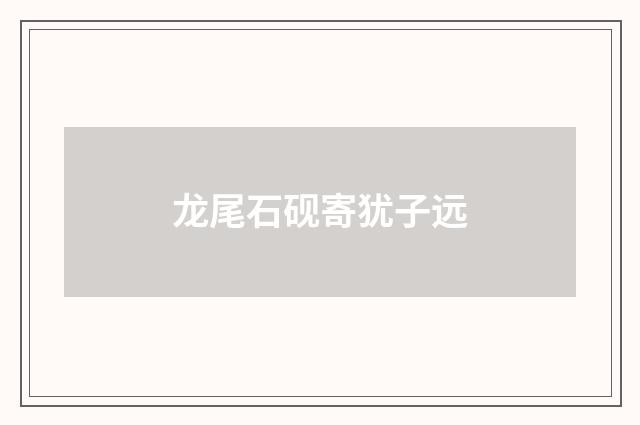 龙尾石砚寄犹子远