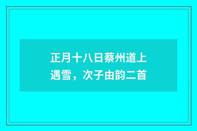 正月十八日蔡州道上遇雪，次子由韵二首