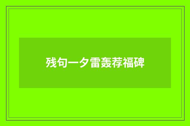 残句一夕雷轰荐福碑