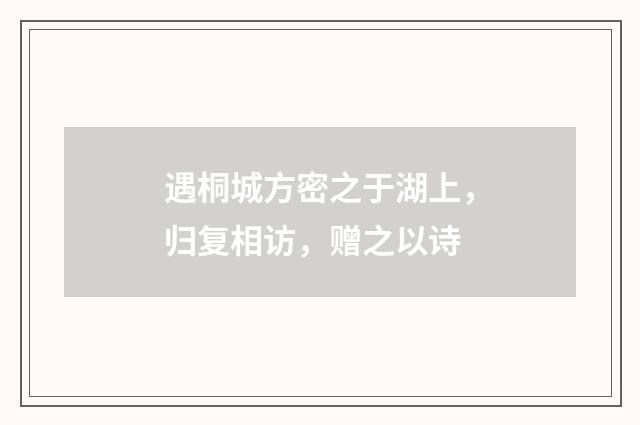 遇桐城方密之于湖上，归复相访，赠之以诗