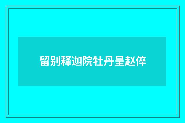 留别释迦院牡丹呈赵倅