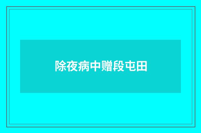 除夜病中赠段屯田
