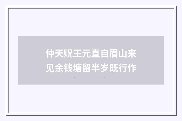 仲天贶王元直自眉山来见余钱塘留半岁既行作