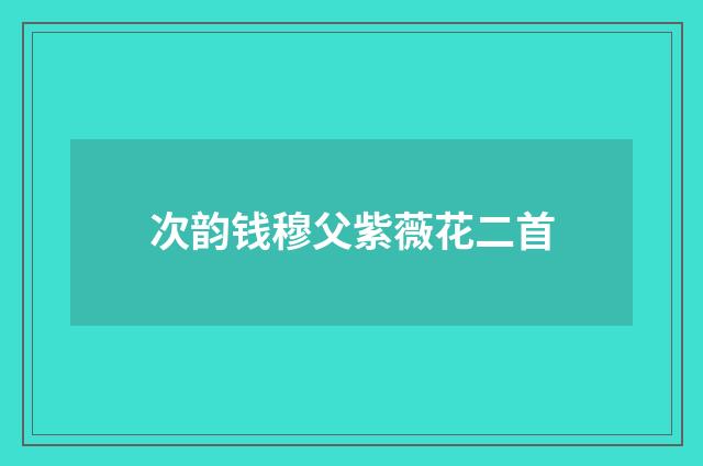 次韵钱穆父紫薇花二首