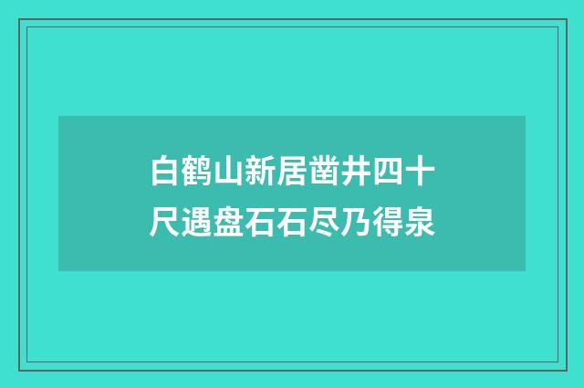 白鹤山新居凿井四十尺遇盘石石尽乃得泉