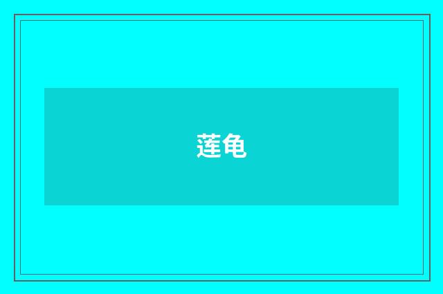 莲龟