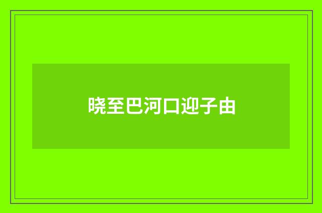 晓至巴河口迎子由