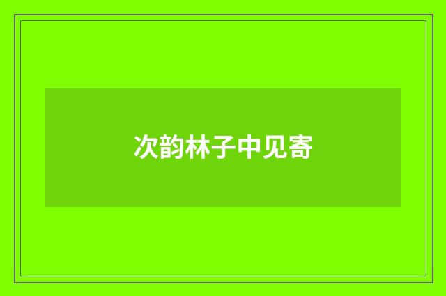 次韵林子中见寄