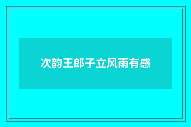 次韵王郎子立风雨有感
