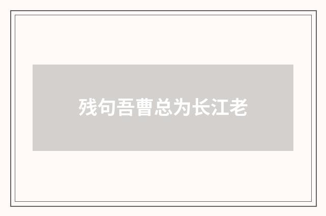 残句吾曹总为长江老