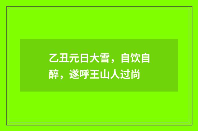 乙丑元日大雪，自饮自醉，遂呼王山人过尚