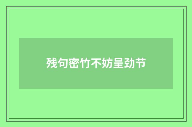 残句密竹不妨呈劲节