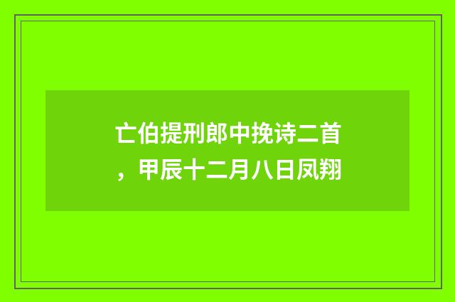 亡伯提刑郎中挽诗二首，甲辰十二月八日凤翔