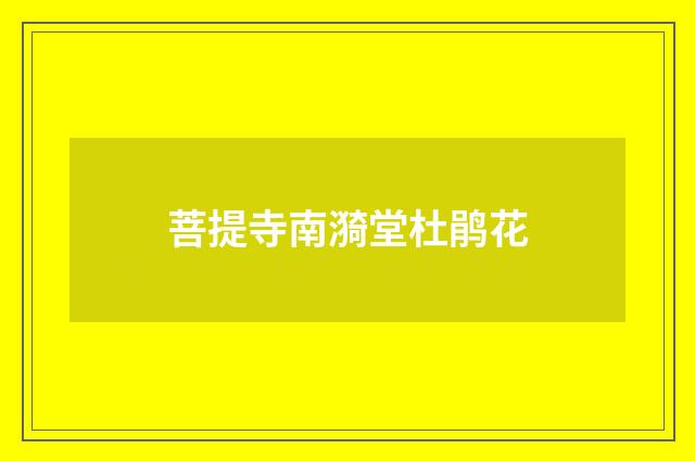 菩提寺南漪堂杜鹃花