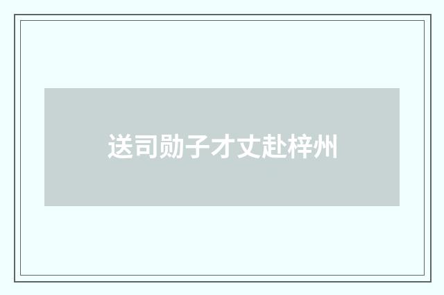 送司勋子才丈赴梓州