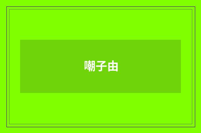 嘲子由