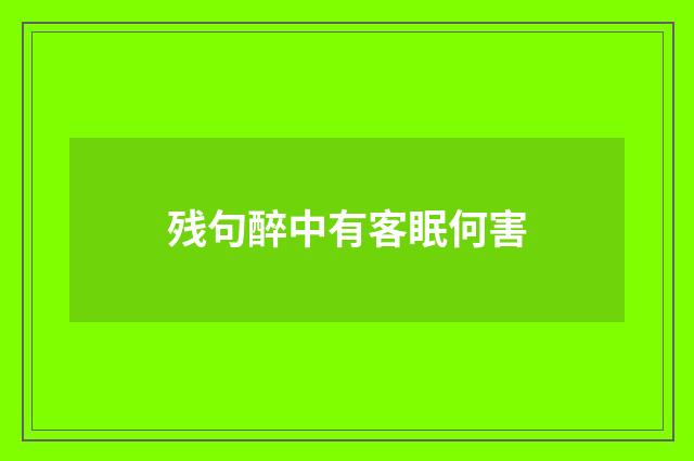 残句醉中有客眠何害