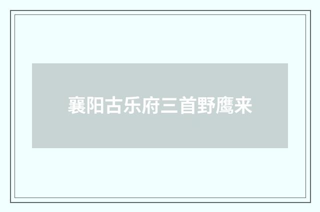 襄阳古乐府三首野鹰来