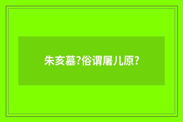 朱亥墓?俗谓屠儿原?