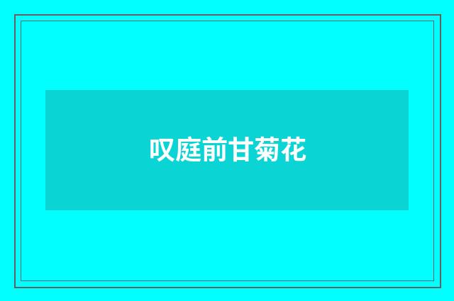 叹庭前甘菊花