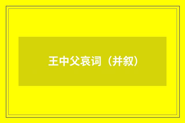 王中父哀词（并叙）