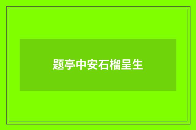 题亭中安石榴呈生