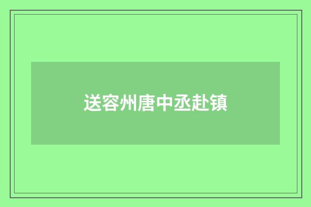 送容州唐中丞赴镇