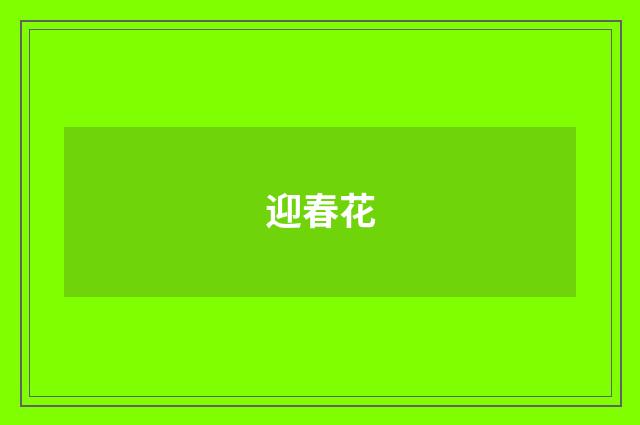迎春花