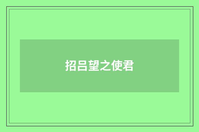 招吕望之使君