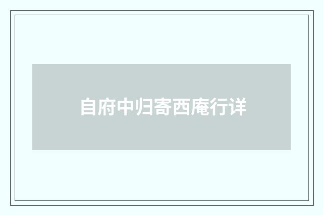 自府中归寄西庵行详