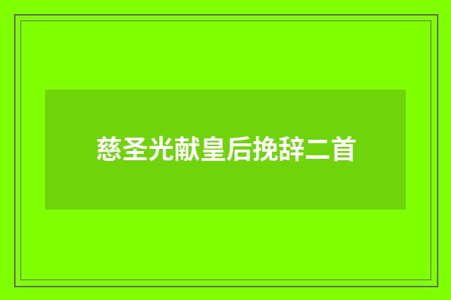 慈圣光献皇后挽辞二首