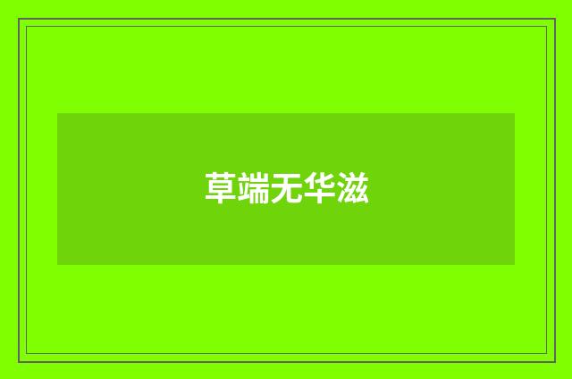 草端无华滋