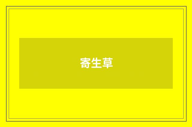 寄生草