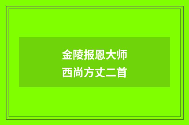 金陵报恩大师西尚方丈二首