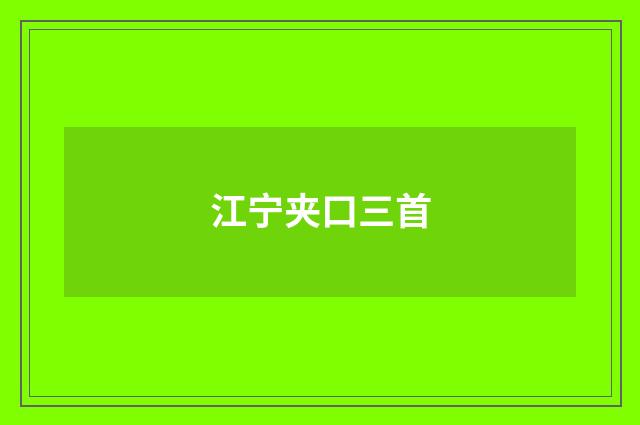 江宁夹口三首