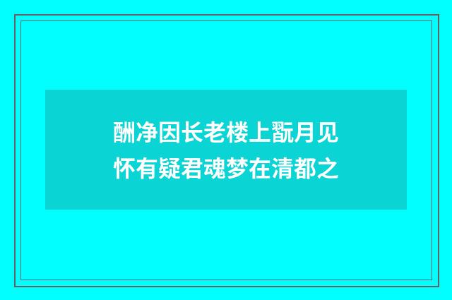 酬净因长老楼上翫月见怀有疑君魂梦在清都之