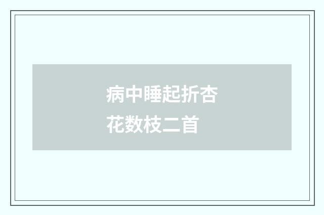 病中睡起折杏花数枝二首