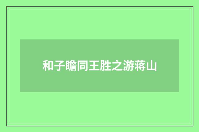 和子瞻同王胜之游蒋山