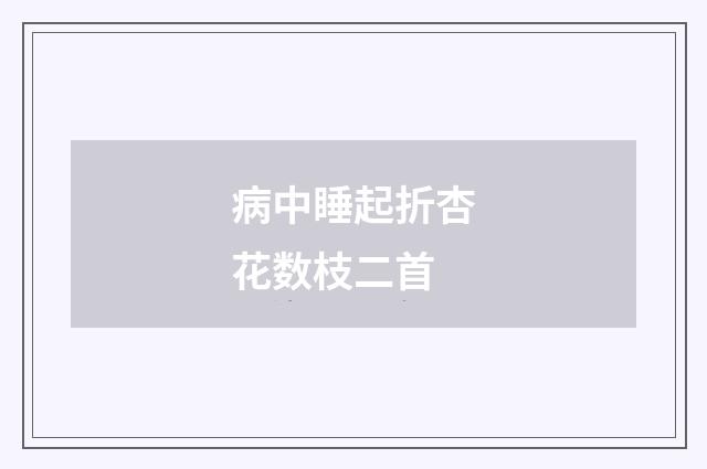 病中睡起折杏花数枝二首