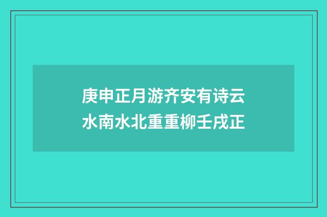 庚申正月游齐安有诗云水南水北重重柳壬戌正