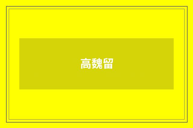 高魏留