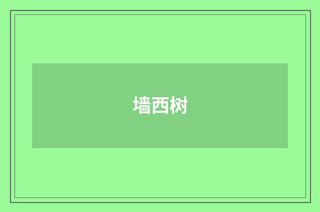 墙西树