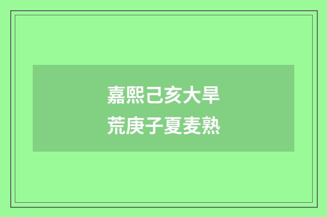 嘉熙己亥大旱荒庚子夏麦熟