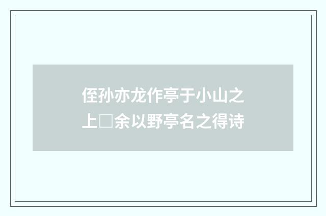侄孙亦龙作亭于小山之上□余以野亭名之得诗